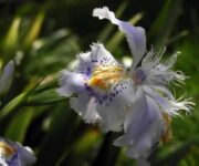 Parque Natural Los Tunos