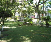 Día Solar Tocaima Guaca