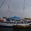 Velero Alquiler Santa Marta5