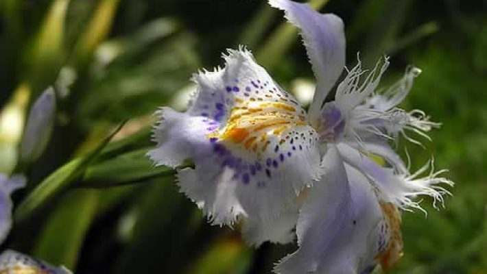 Parque Natural Los Tunos