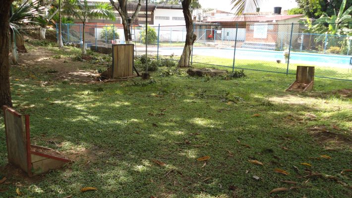 Día Solar Tocaima Guaca1