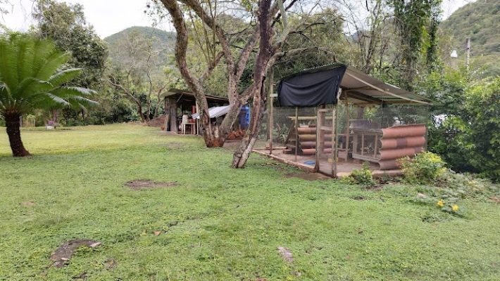 Dia Solar Barato Apulo4