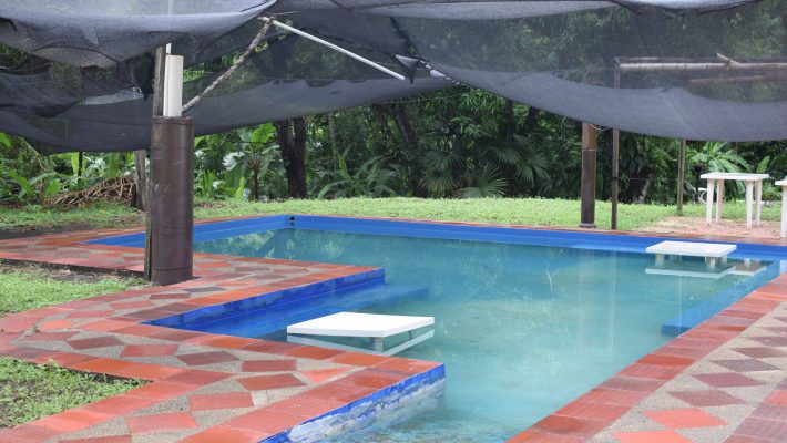 Pasadia Nilo Aguas Azufradas