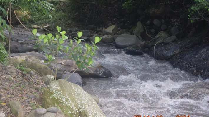 Pasadia la Vega Fortuna3